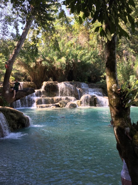 Laos Kuang Si Waterfalls (3)