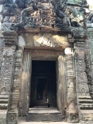 Cambodia Angkor Ta Prohm jungle temple (35)